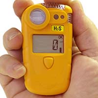 detector port�til de g�s h2s